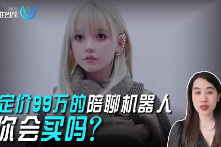 定价99万的陪聊机器人，你会买吗？