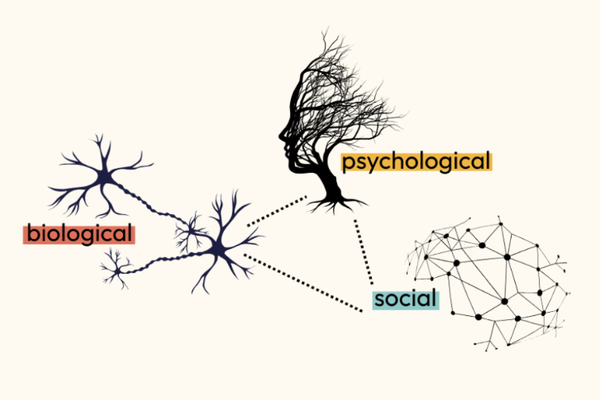 如何重新爱上学习？