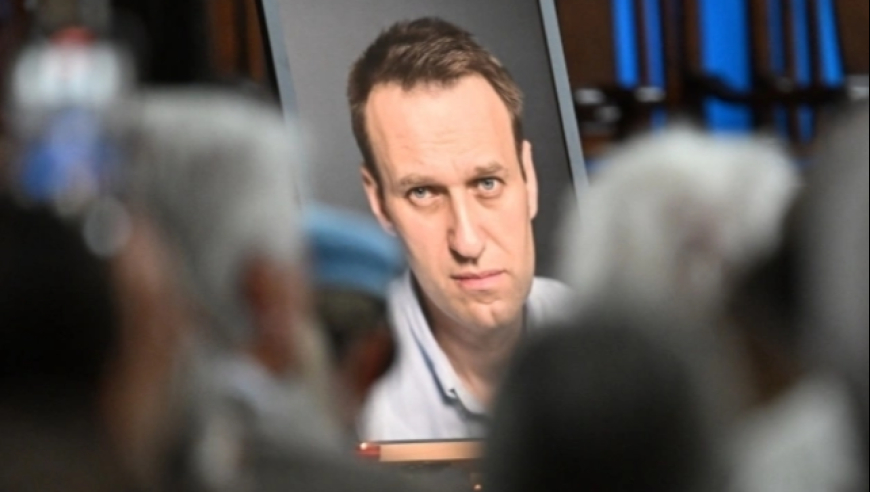 英法德等称俄用箭毒蛙毒素毒死纳瓦利内，俄方回应