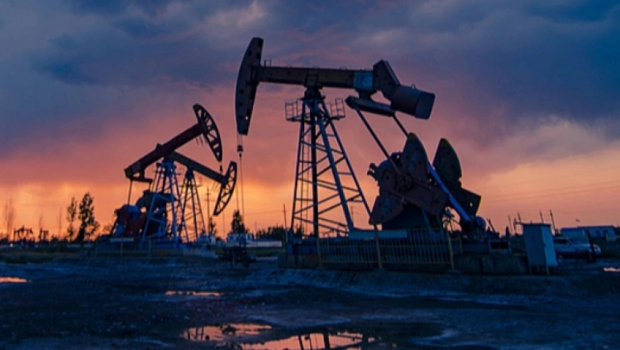 日媒：日本政府计划5月派团访问俄罗斯，或将讨论从俄进口原油