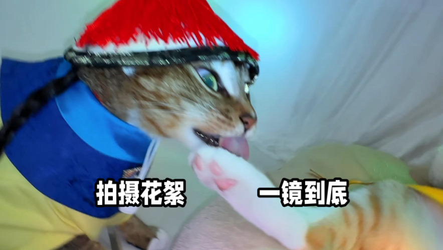 宝，这就是宫里的体面工作1？