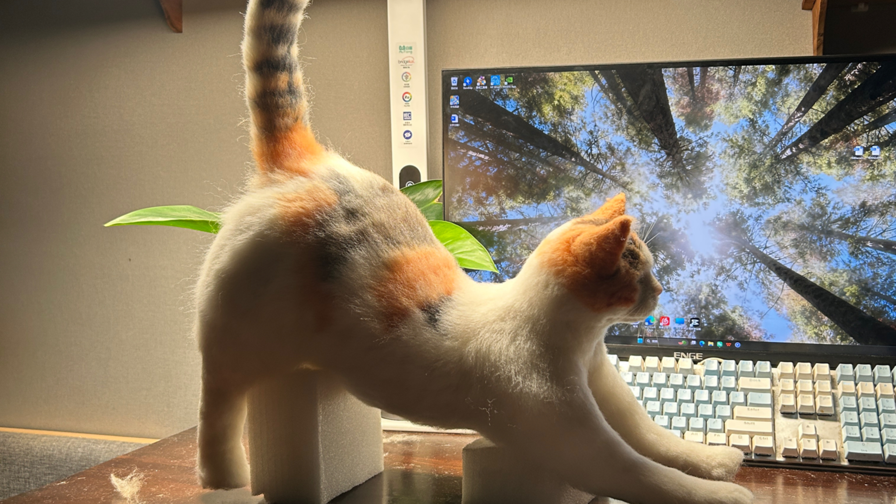 关于我的手工猫咪