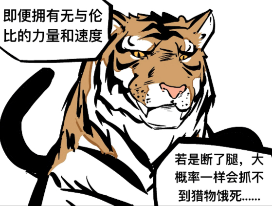 我说猿神有谁能懂的？【合订】