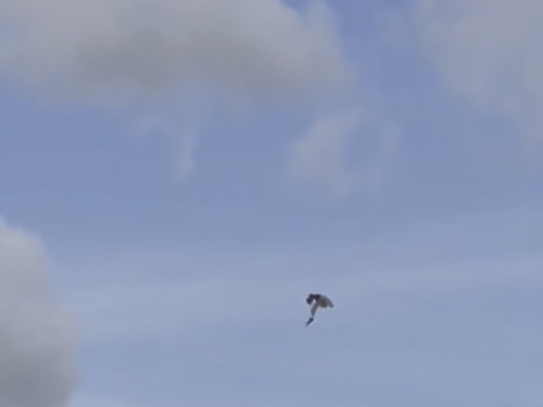 【忘崽有内涵】最新视频来袭，快来看看吧！