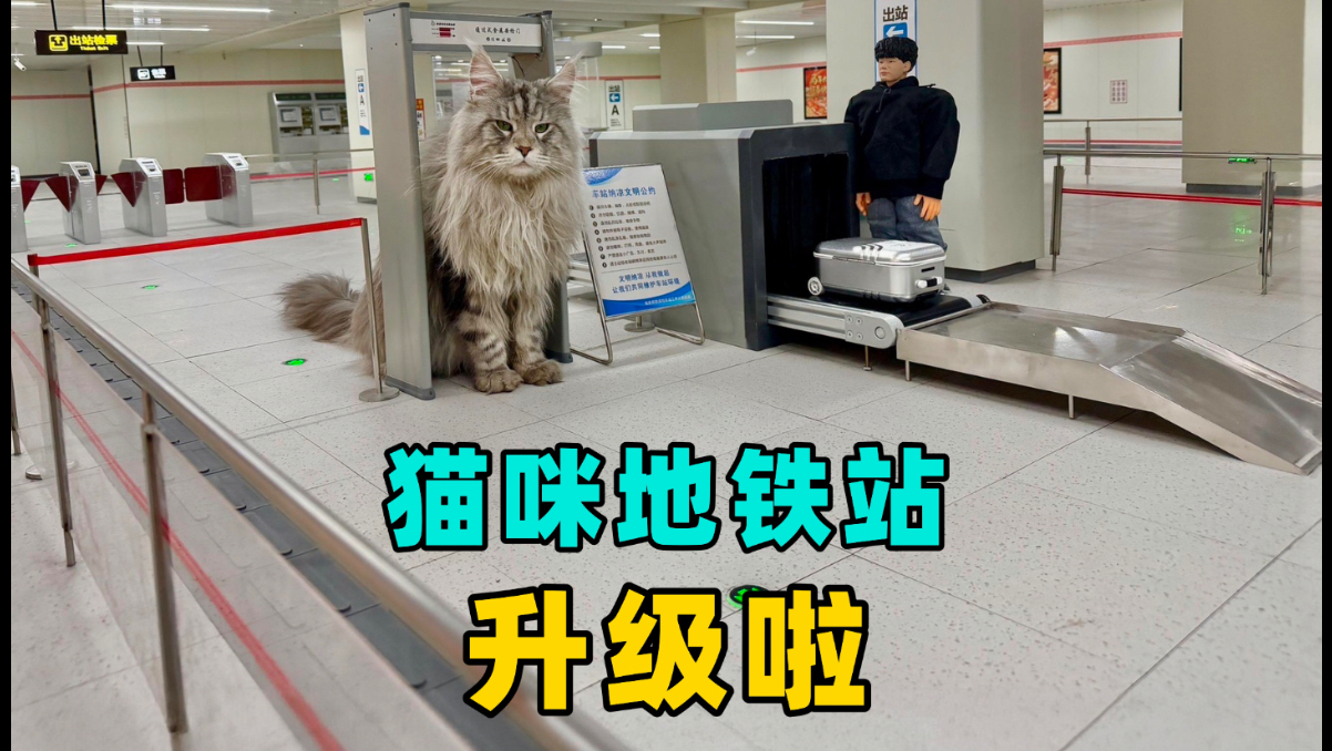 猫咪地铁站升级啦