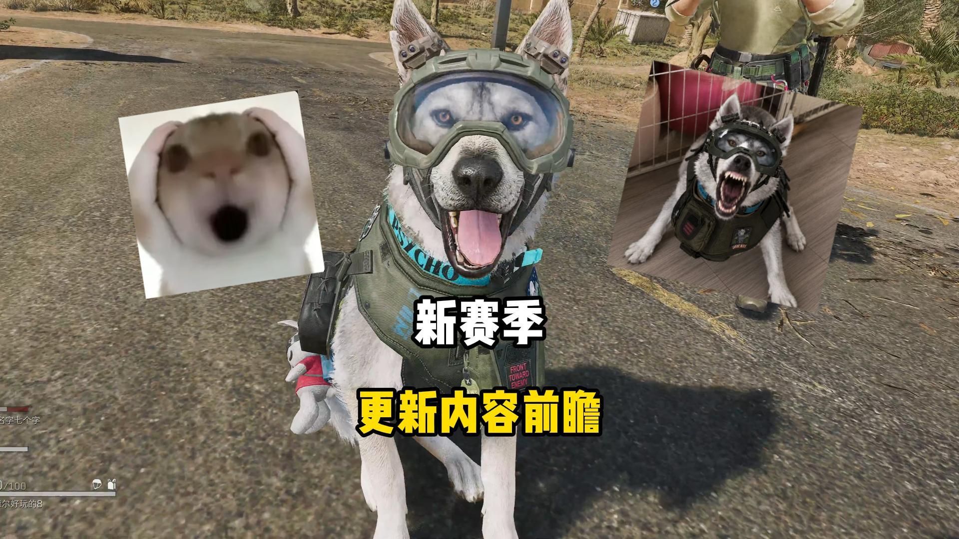 【新赛季内容前瞻】大狗嚼，重生老太，长弓玩法变革！