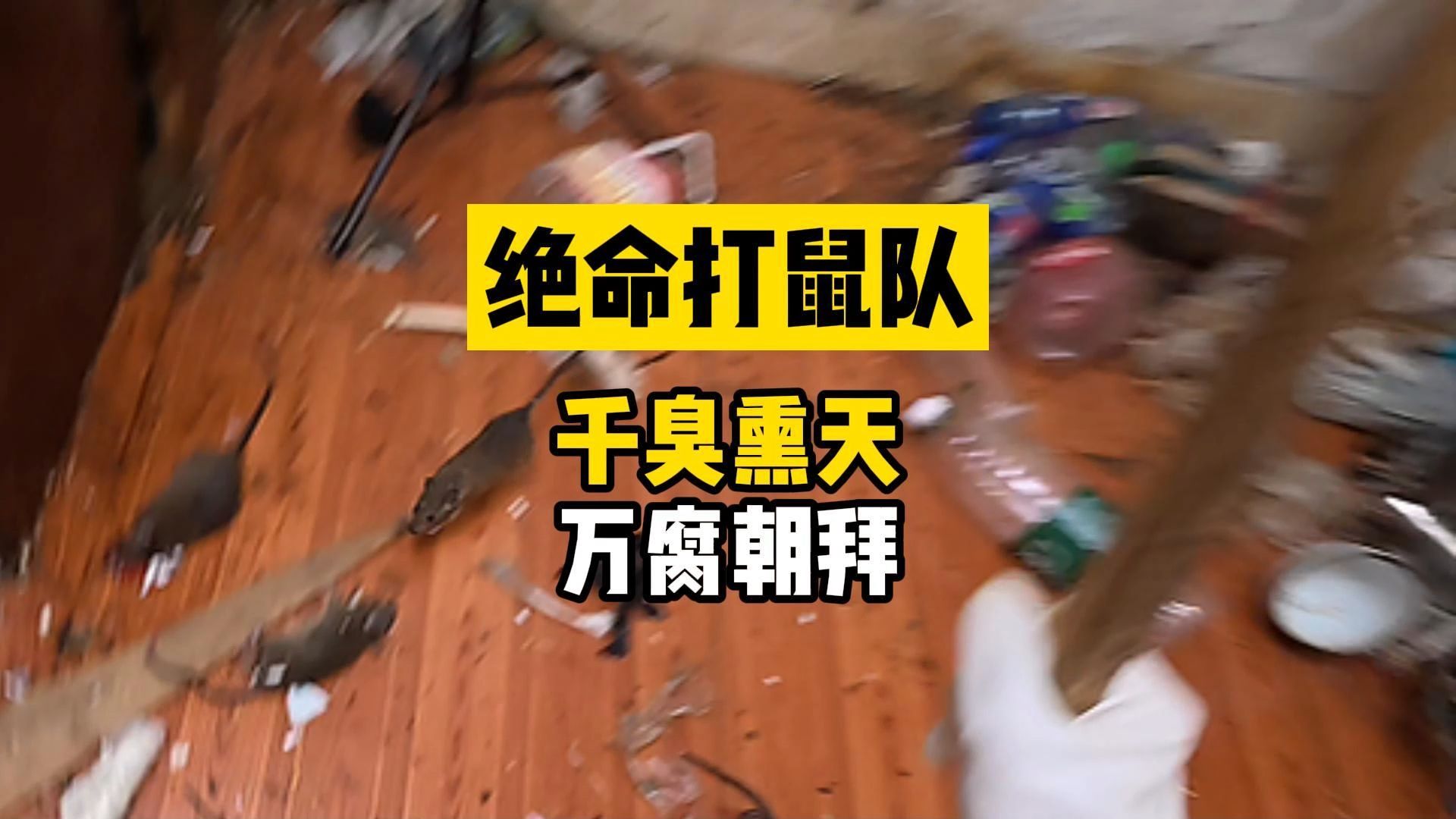 这个视频会成为你26年最难忘的回忆