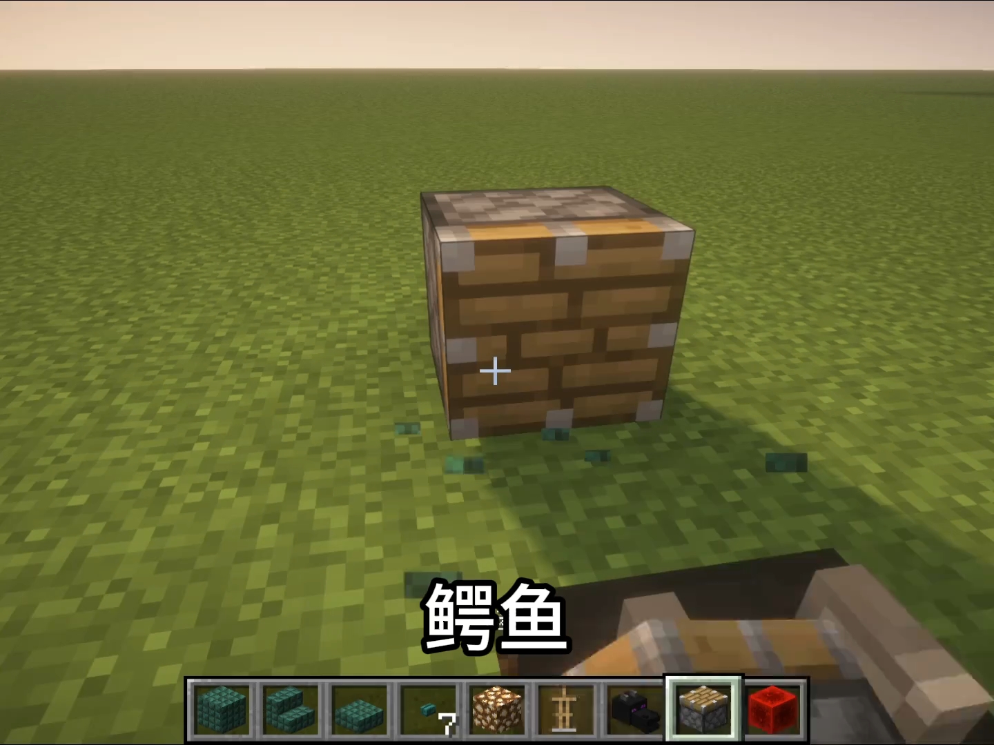 鳄鱼 我的世界