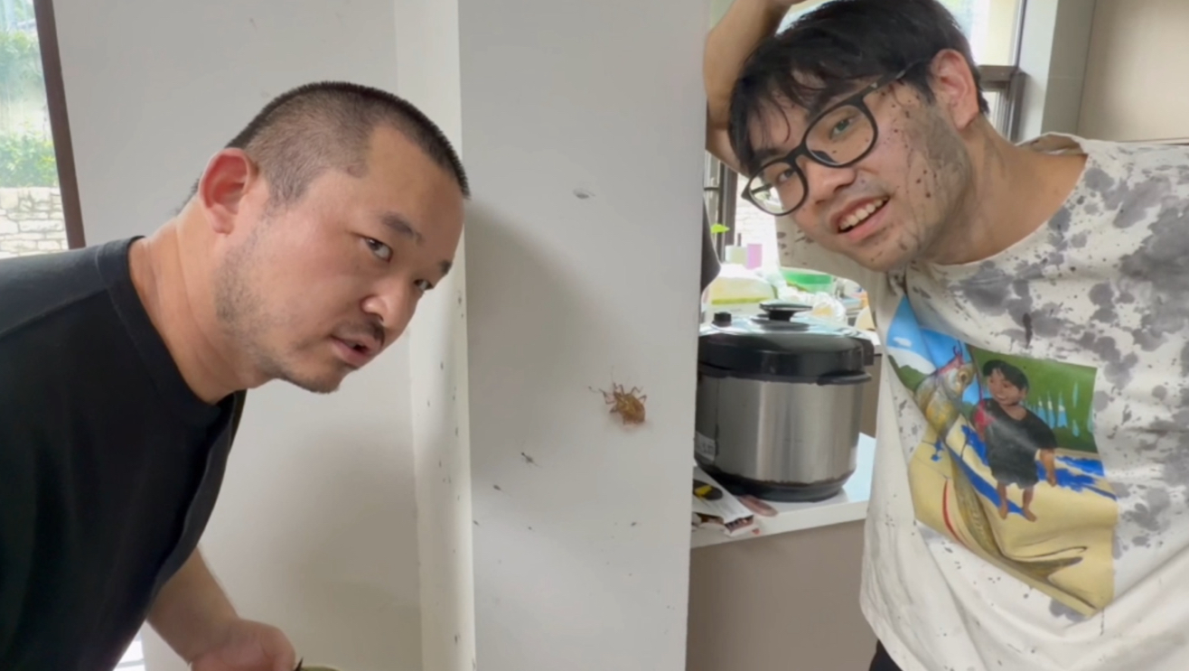 当搞艺术的一切需求得到满足
