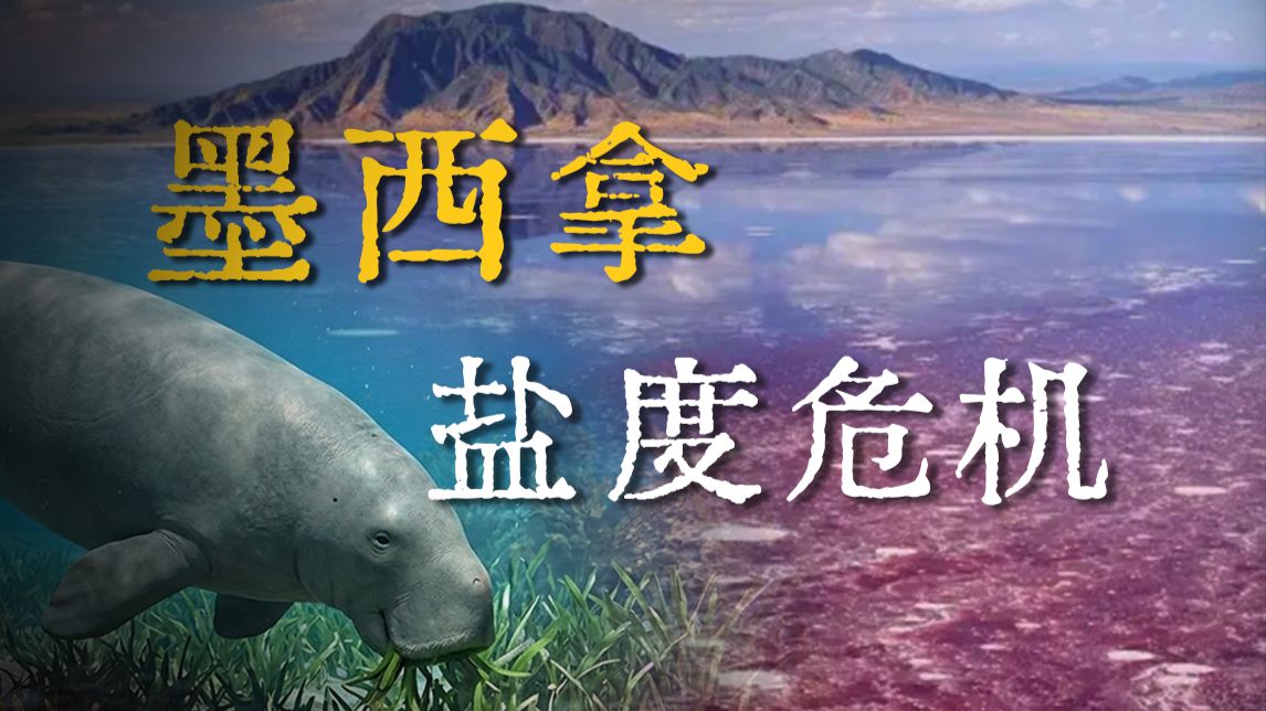 【鬼谷闲谈】墨西拿盐度危机：那一年，地中海干了……